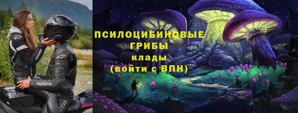 ПСИЛОЦИБИНОВЫЕ ГРИБЫ Алзамай