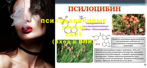 ПСИЛОЦИБИНОВЫЕ ГРИБЫ Алзамай
