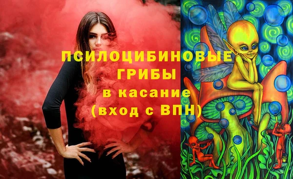 сатива Алексеевка