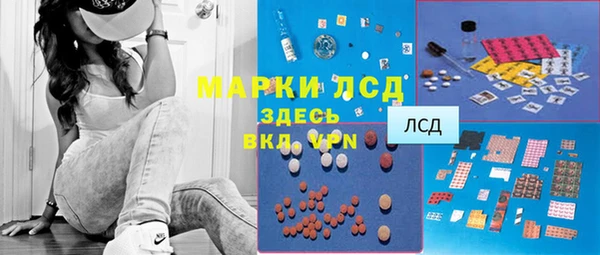 ПСИЛОЦИБИНОВЫЕ ГРИБЫ Алзамай
